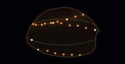 Satellite